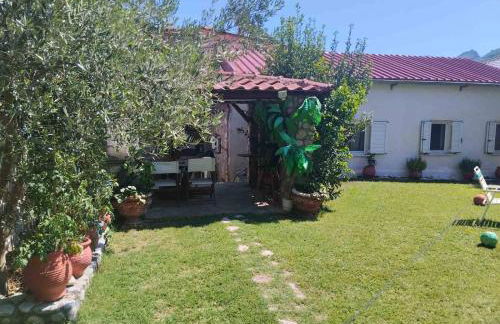 ΑΡΧΟΝΤΙΚΌ Μουζάκι ΚΑΡΔΙΤΣΑ ΤΡΙΚΑΛΑ - Photo 57