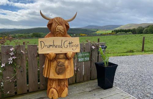 Drumhead Cottage Finzean, Banchory Aberdeenshire Self Catering with Hot Tub - Foto 28