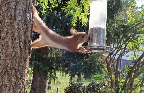 Tauberperle - Exklusives Ferienapartment - Foto 23