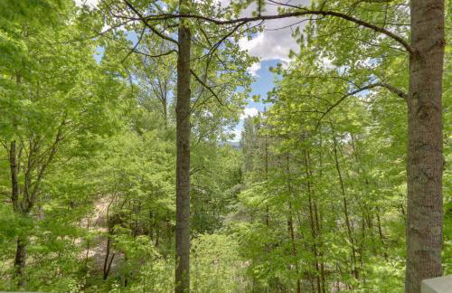 Blue Ridge Getaway with Hot Tub and Seasonal View! - Foto 30