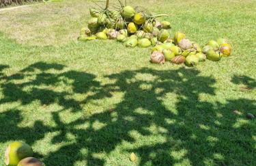 Maravilhosa Casa Pé na Areia 2 - Foto 38