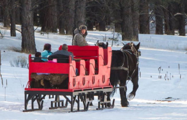 Alpine Gardens - Photo 50