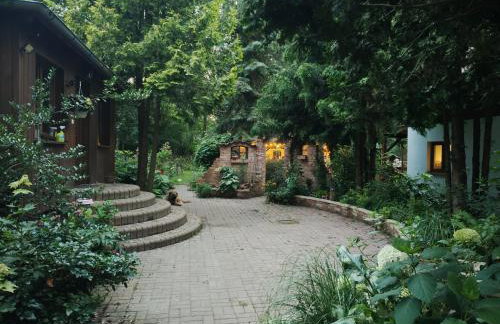 Dziki brzeg Jezioraka - Foto 17