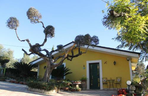 Bloemenhuis - Foto 38