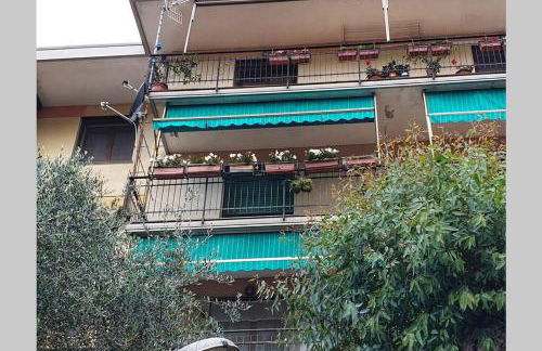 Stella Marina House -citra 010047LT-0127 - Foto 21