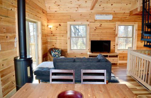 Luxury Log Cabin with Mountain and Forest Views near Asheville, North Carolina - Foto 6