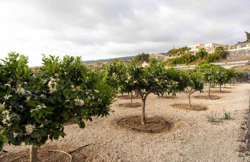 Finca el Vinche - Foto 10