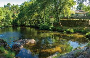 Jardim da Rosa - Foto 40