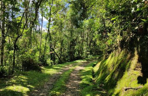 Linda casa em Visconde de Mauá perto da cachoeira - Foto 18