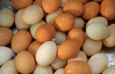 The Goat's Place III - Foto 31