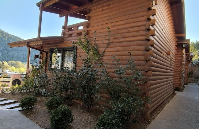 Pasha Bungalovs - Foto 22