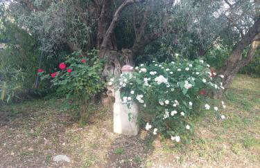 Irinis Cottage - Foto 35