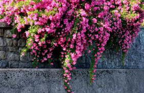 La Casa del Sole - Foto 20