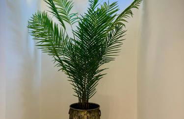 Portuguese Luxury Villa - Foto 41