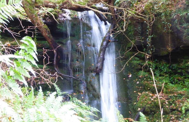 2-bed Cottage, Sleeps 5, Pets Ok, Close to Coast - Foto 13