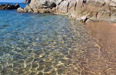 La calma de Tossa - Foto 44