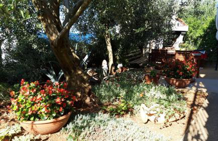 Apartments by the sea Stomorska, Solta - 11298 - Foto 11