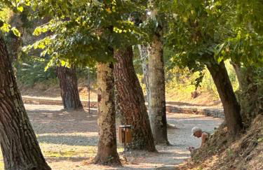 La sosta al lago - Photo 8