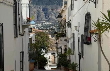 Salamandra - Foto 50