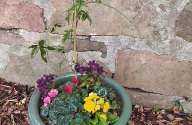 Lottie’s Cottage, Rhynie, Aberdeenshire - Photo 26