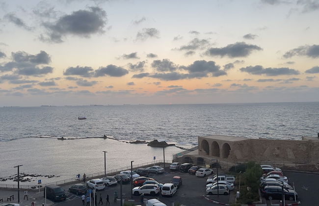 Nzar Khoury For Hosting - Foto 15