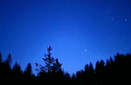 FeWo Harz mit Herz Familienfreundliches Paradies im Harz - Foto 24