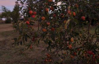 Logement entier de charme, gite équestre GERS Flamarens - Foto 49