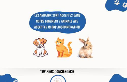 LE CALDERINI APPART - Face PLAGE WIFI et PARK Gratuit CALME - Résid Le Surcouf -TOP PROS SERVICESConciergerie La Grande Motte - Foto 38