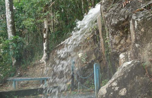 Estancia Vale das Flores - Foto 49