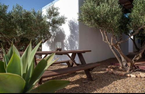 El Rincón de los Albaricoques - Photo 27