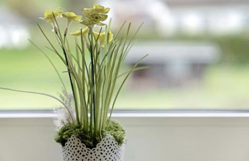 Tati's Ferienwohnung Siegerland - Photo 23