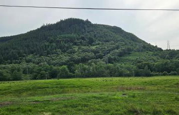 Regina apartment in Fort William - Foto 53