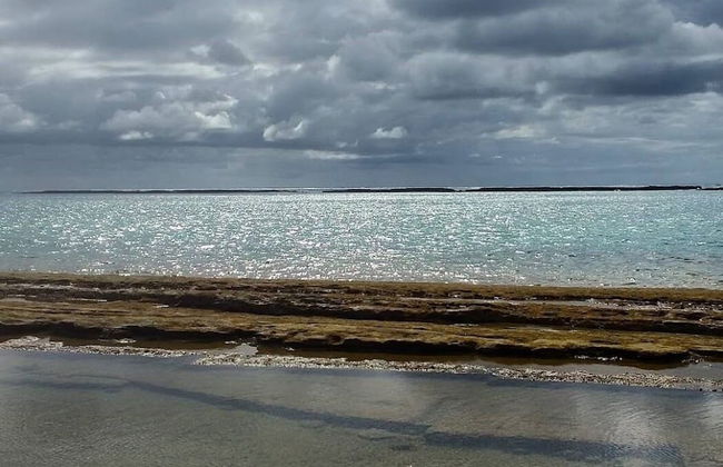 Casa do leo - Foto 38