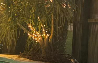 Luxury Villa - 75 inch smart TV, Upgrades throughout! 20 minutes to Disney - Foto 74