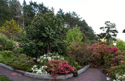 Casas de Pedra - Foto 71