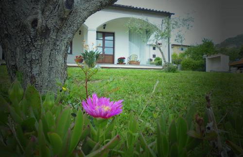 Villa il Poderino - Foto 31