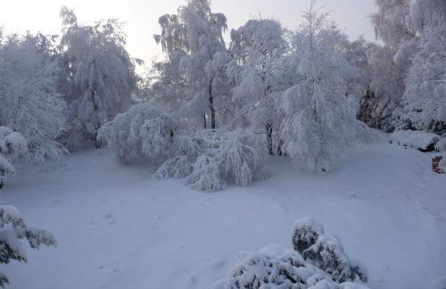 Haus Bergwiese - für Naturfreunde, Familien, Wanderer - Foto 16