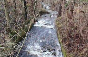 Dom za wydmą - Foto 55