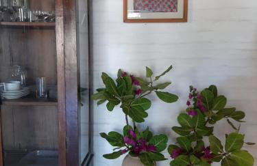Casa Jasmine Taíba - Foto 31