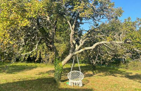 Charming house 100 m from the beach - Port-Manech - Foto 28