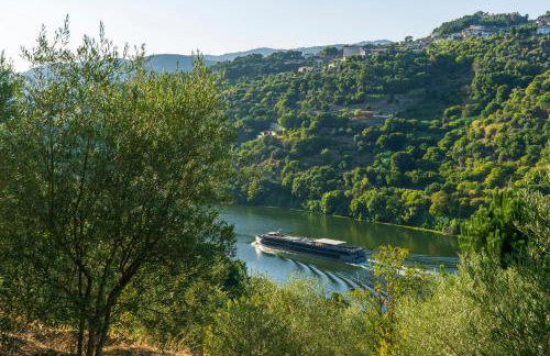 Cherry Douro Hill - Foto 28