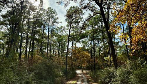 Cozy Cabin Escape - Foto 3