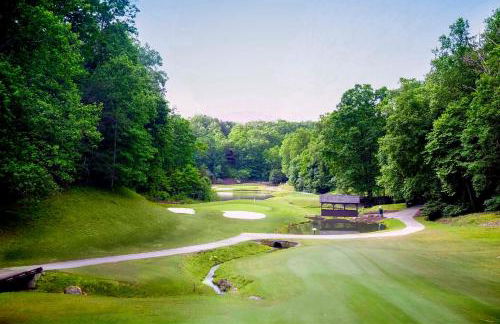 Hike, Golf and Swim! Rumbling Bald Resort Mtn Home - Photo 36