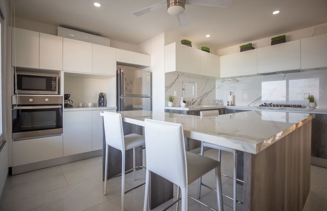 Beachfront Penthouses at Brisas by The Spot - Photo 21