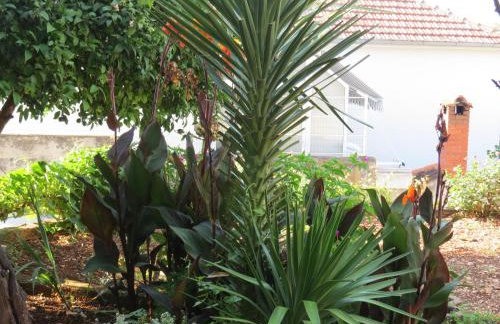 Apartments Ljube - Foto 52