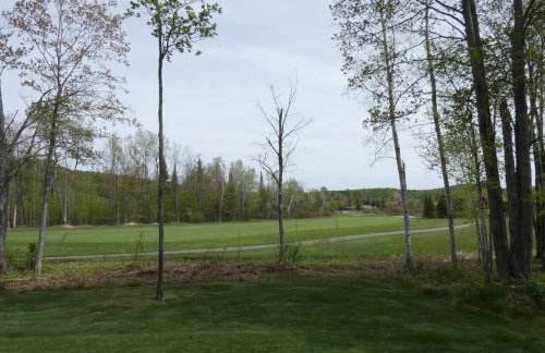 Greenside at Schuss Mountain - Foto 10