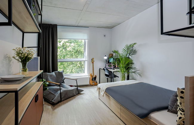 MILESTONE Wrocław Ołbin Student Living - Photo 12