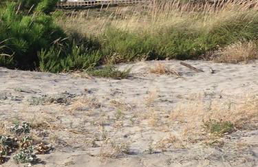 Beach House Cabedelo - Foto 22