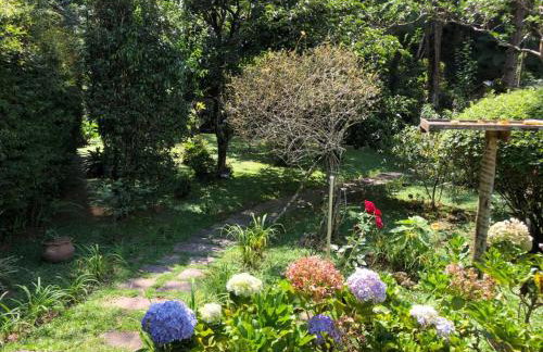 SITIO SIMPLESMENTE DEMAIS - Foto 17