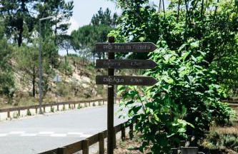 Herdade de Montalvo - Comporta - Photo 28